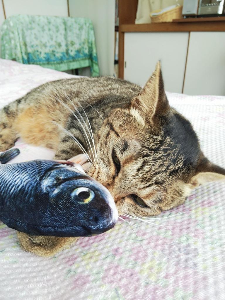 猫 おもちゃ 魚 電動 動く ペット 犬 リアル ムービングフィッシュ ダンシングフィッシュ 遊び 運動不足 ((C  :FK14960-A2109:LARGO Yahoo!店 - 通販 - Yahoo!ショッピング