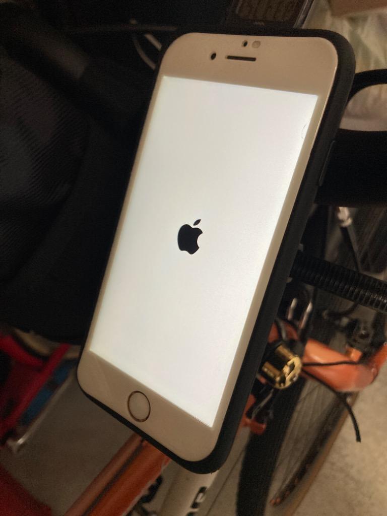 全体のレビュー画像 | 1-0