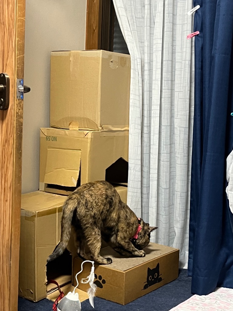 全体のレビュー画像 | 8-1