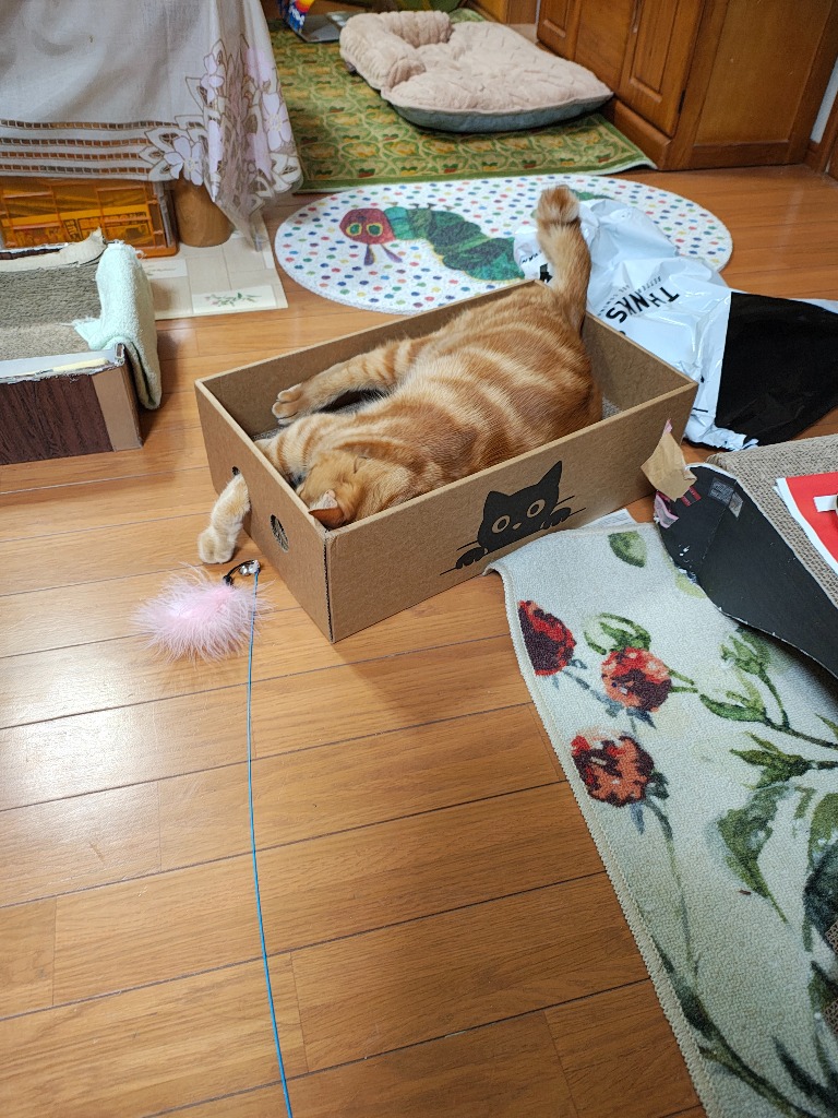 全体のレビュー画像 | 0-1