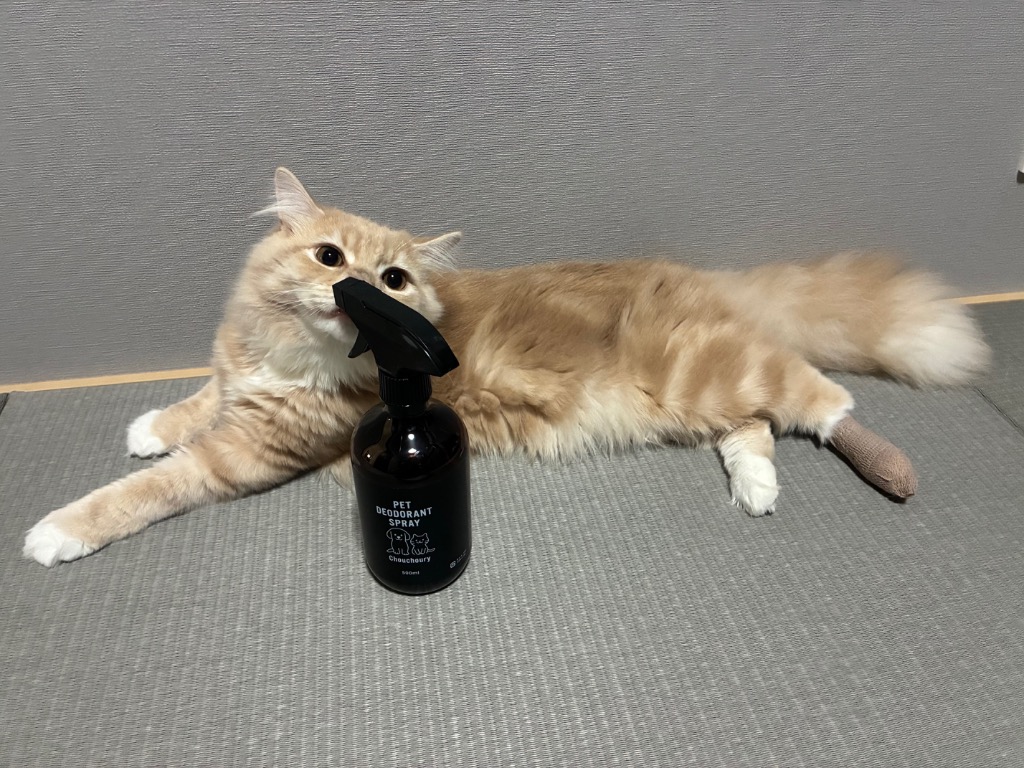 レビュー画像