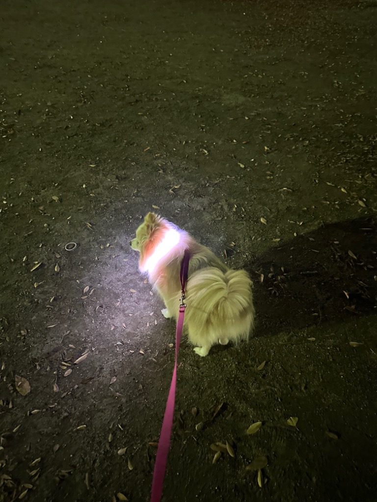 全体のレビュー画像 | 3-0