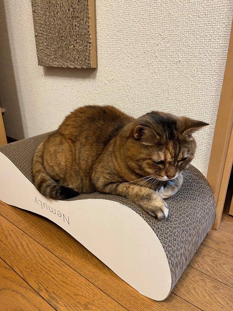 レビュー画像