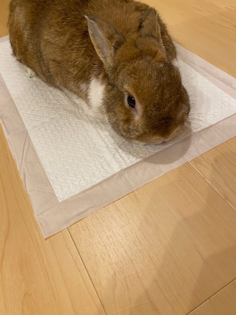 全体のレビュー画像 | 0-1