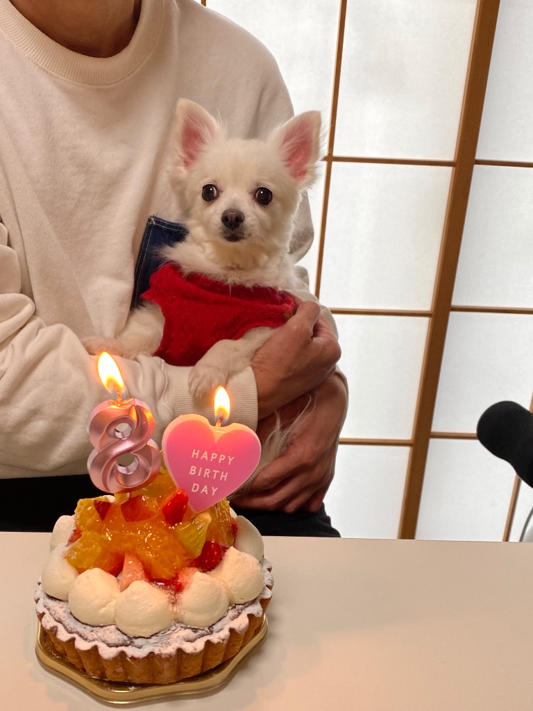 5件目のレビュー画像 | 0