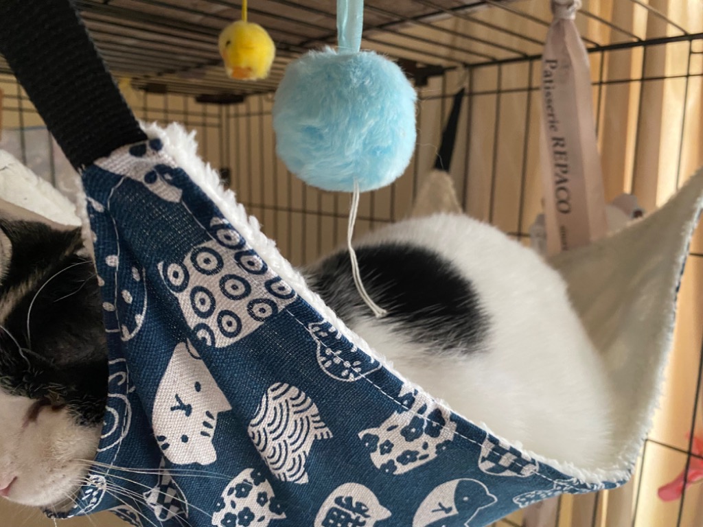 全体のレビュー画像 | 4-1