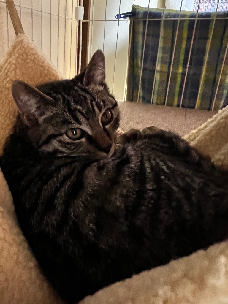 全体のレビュー画像 | 0-1