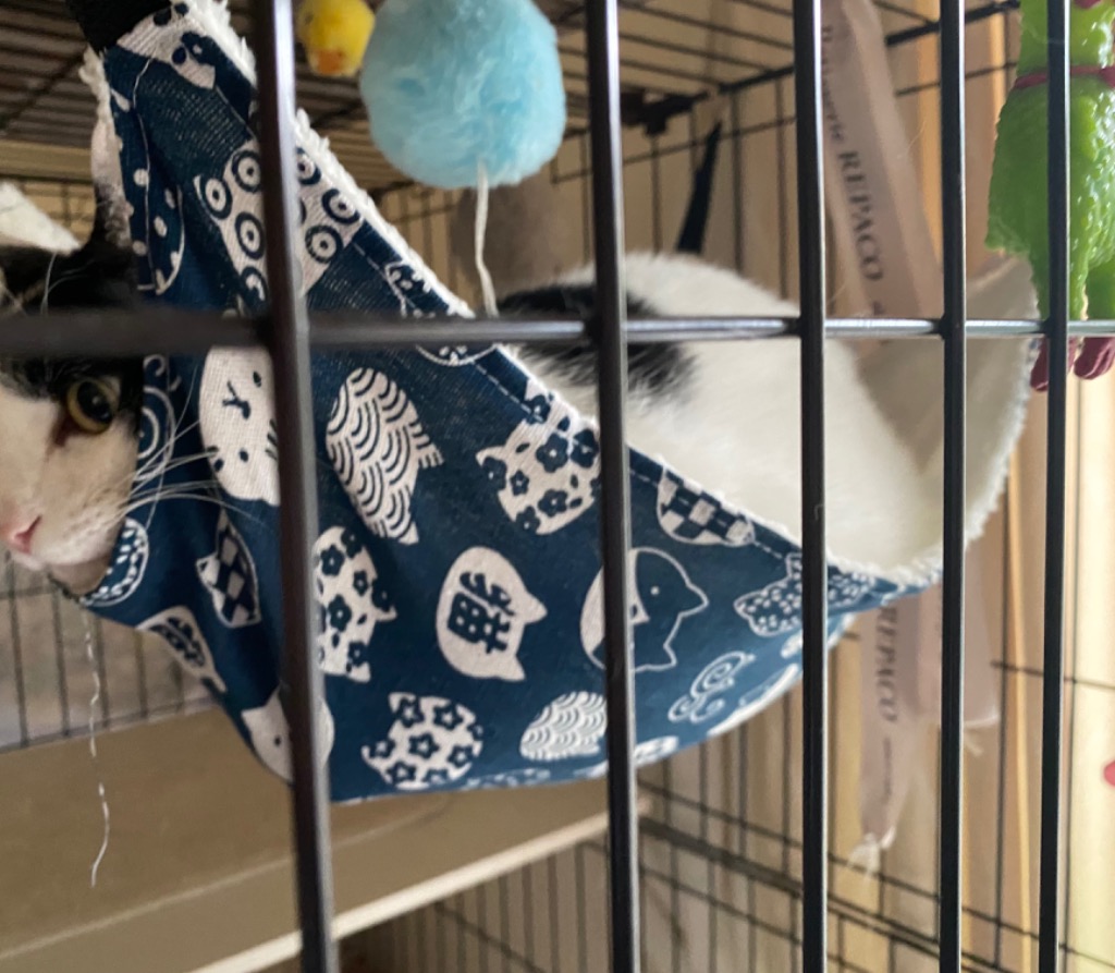 全体のレビュー画像 | 4-0