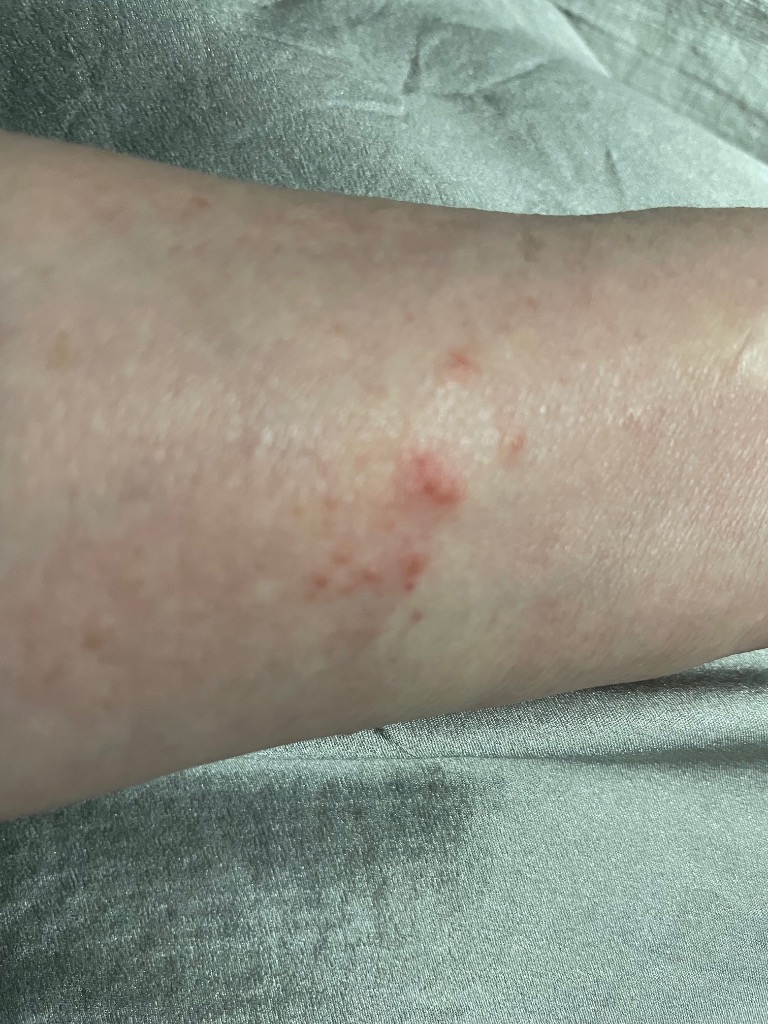 全体のレビュー画像 | 3-0