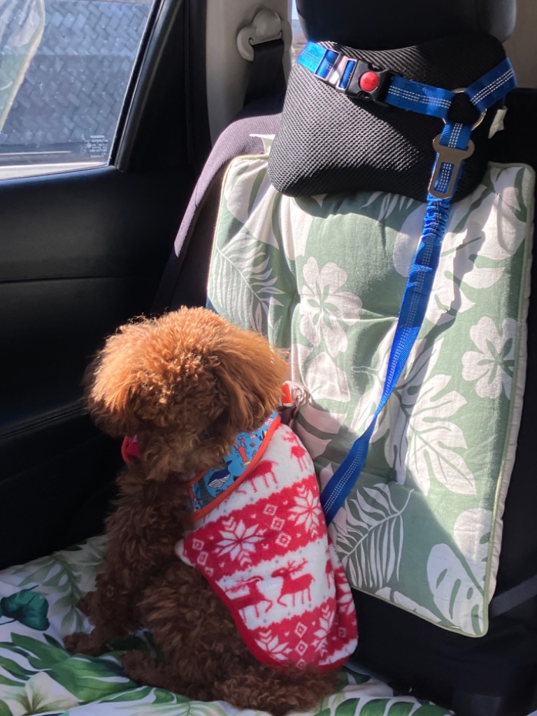 全体のレビュー画像 | 2-0