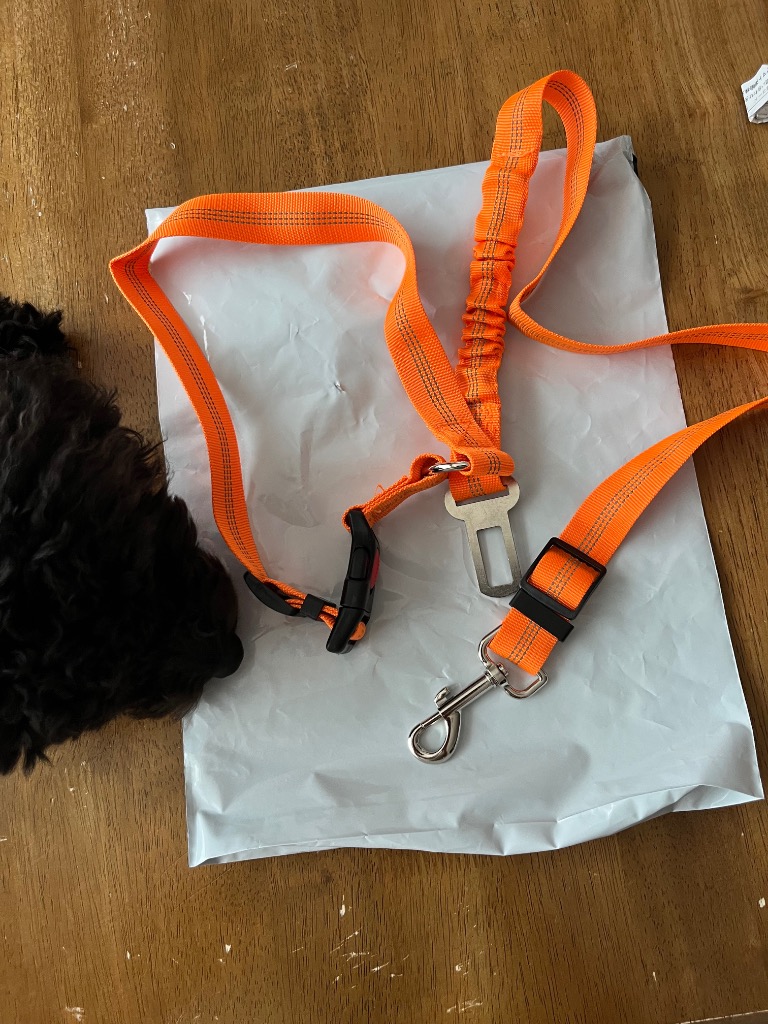 全体のレビュー画像 | 1-1