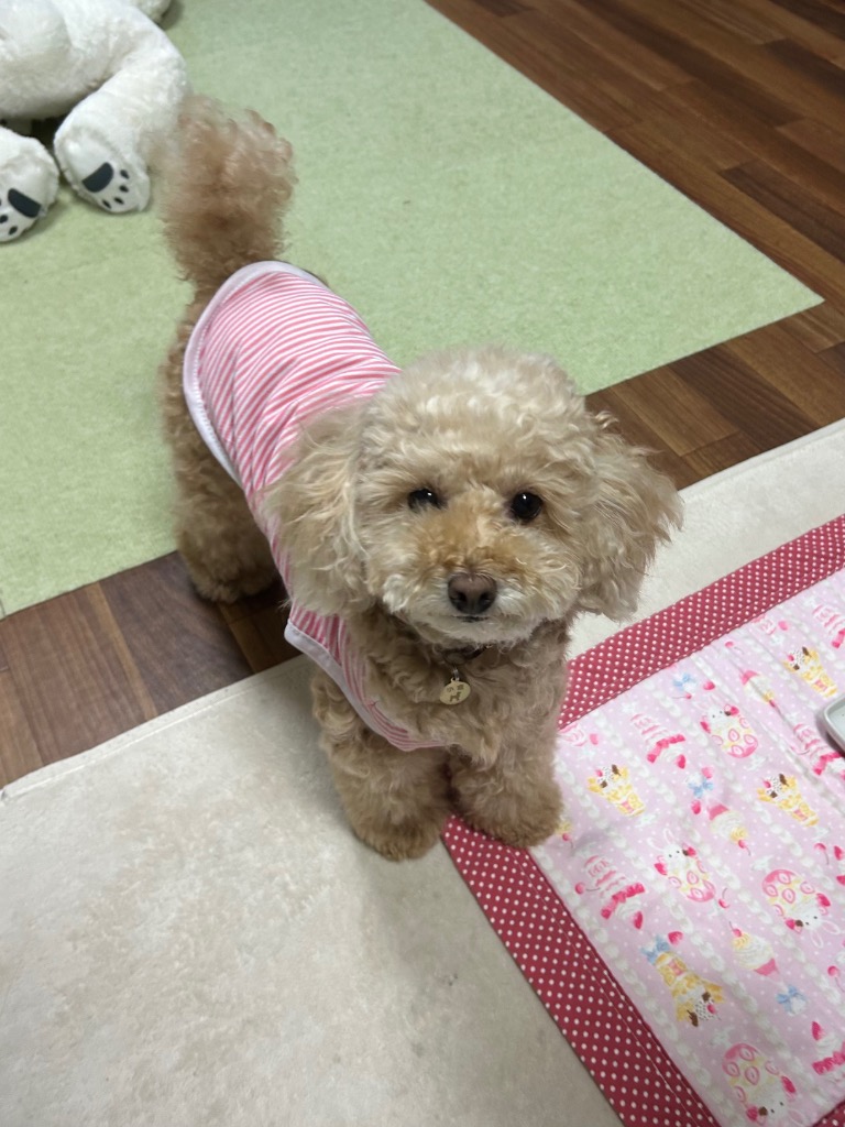 全体のレビュー画像 | 0-0