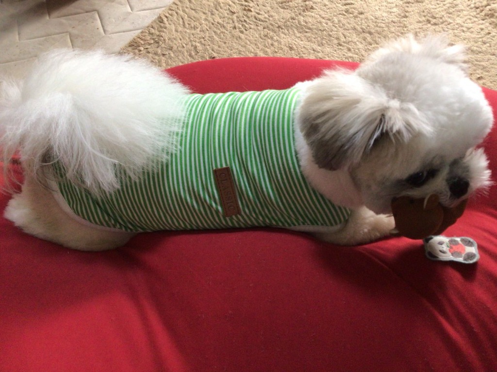 全体のレビュー画像 | 1-0