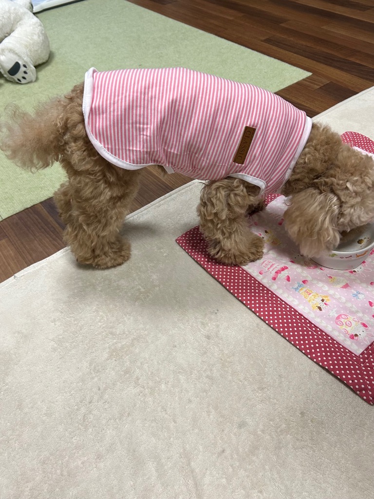 全体のレビュー画像 | 0-1