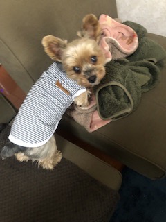 全体のレビュー画像 | 0-0