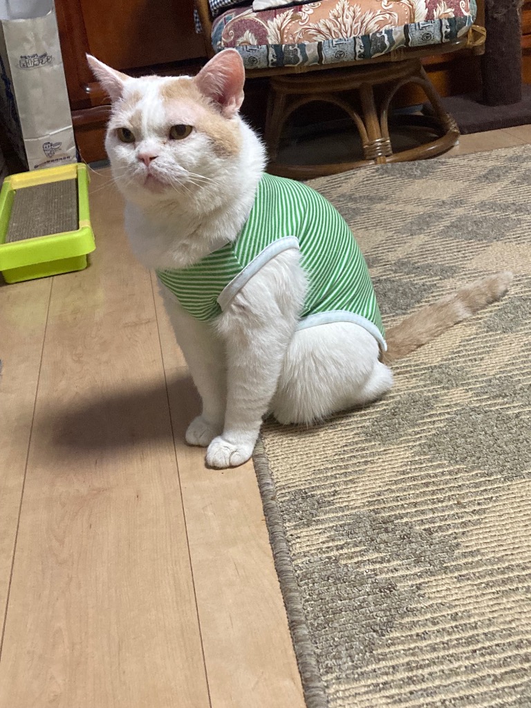 全体のレビュー画像 | 8-0