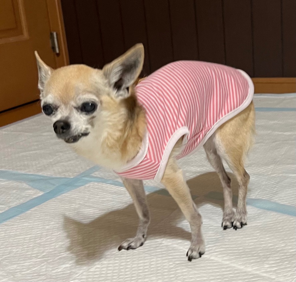 全体のレビュー画像 | 13-0