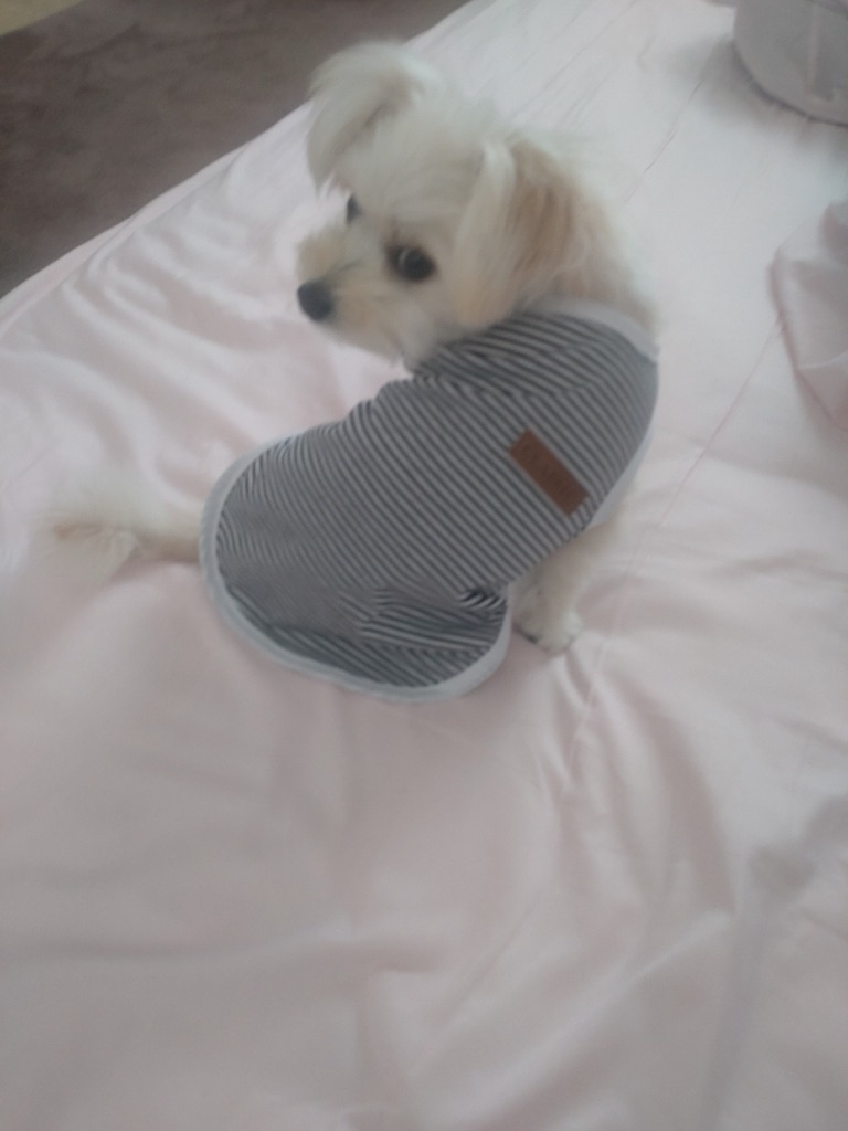 5件目のレビュー画像 | 0