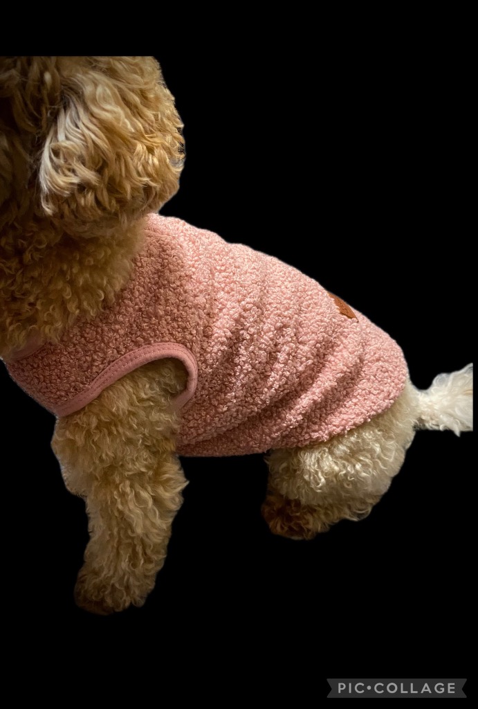 全体のレビュー画像 | 2-0