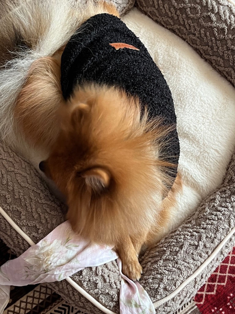 全体のレビュー画像 | 5-0