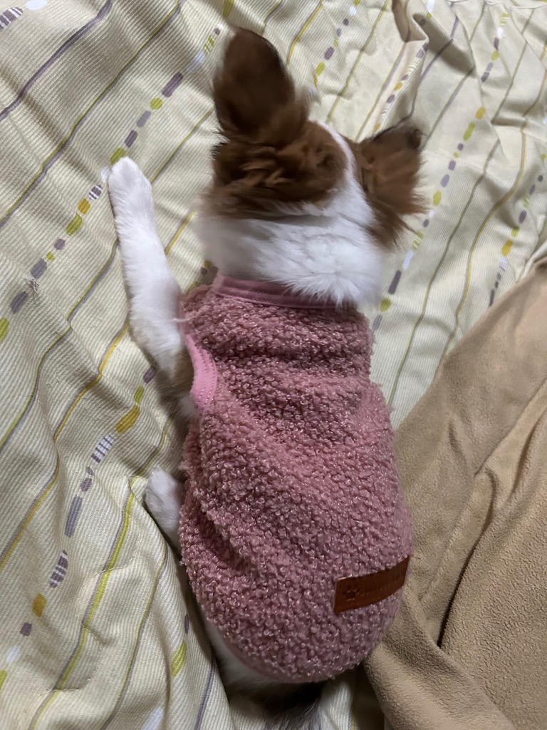 9件目のレビュー画像 | 0