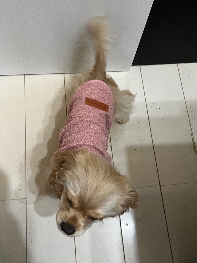 全体のレビュー画像 | 0-0