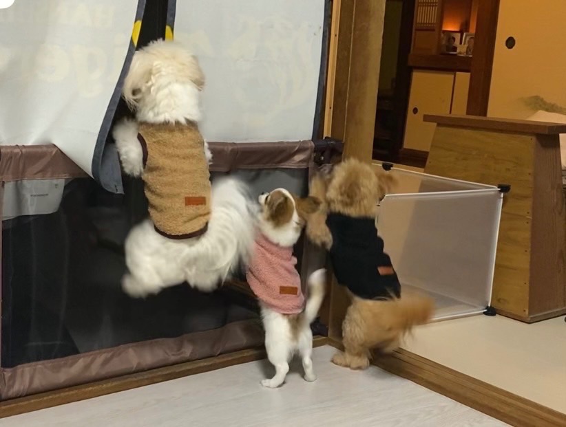 9件目のレビュー画像 | 3