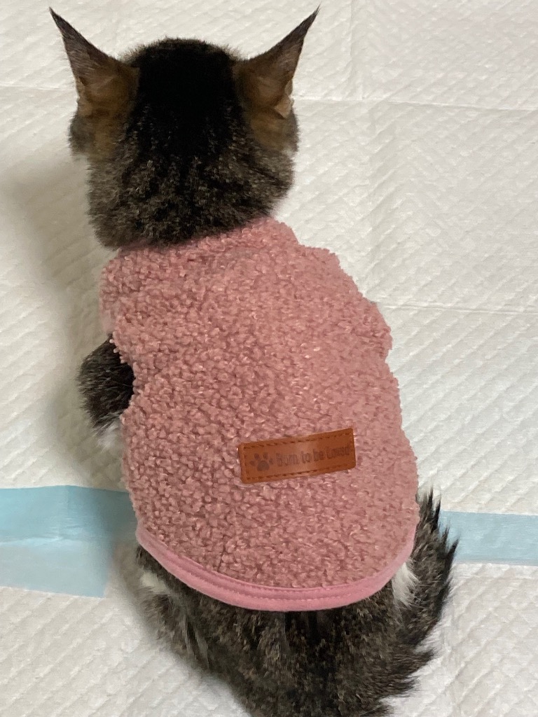 全体のレビュー画像 | 8-0