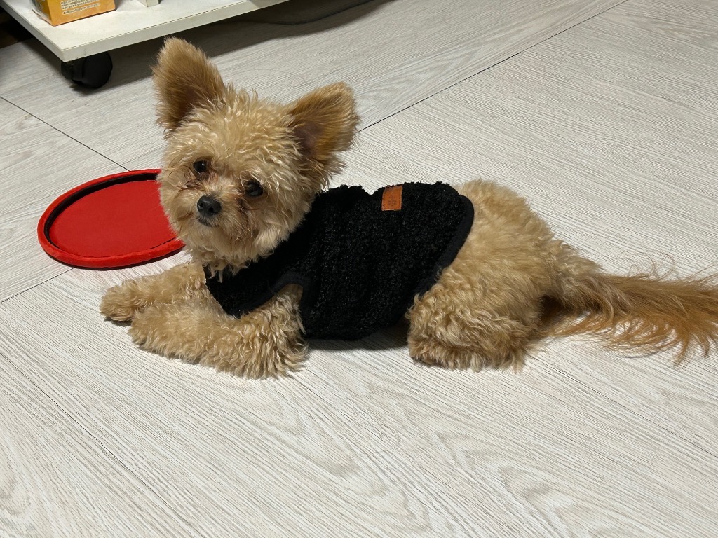 9件目のレビュー画像 | 1