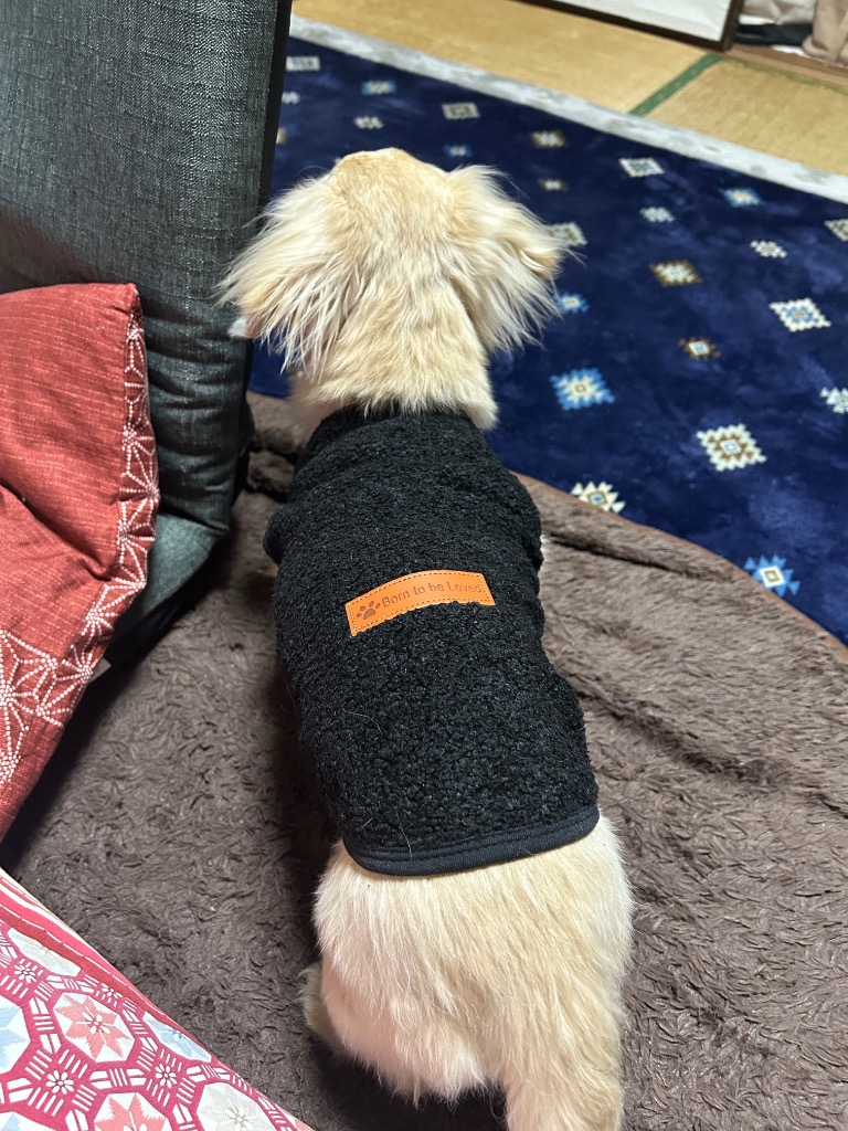 全体のレビュー画像 | 9-0