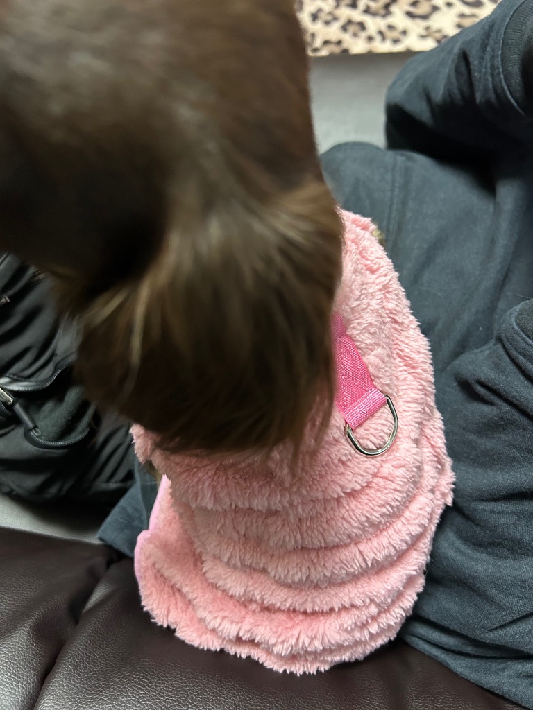 全体のレビュー画像 | 10-0