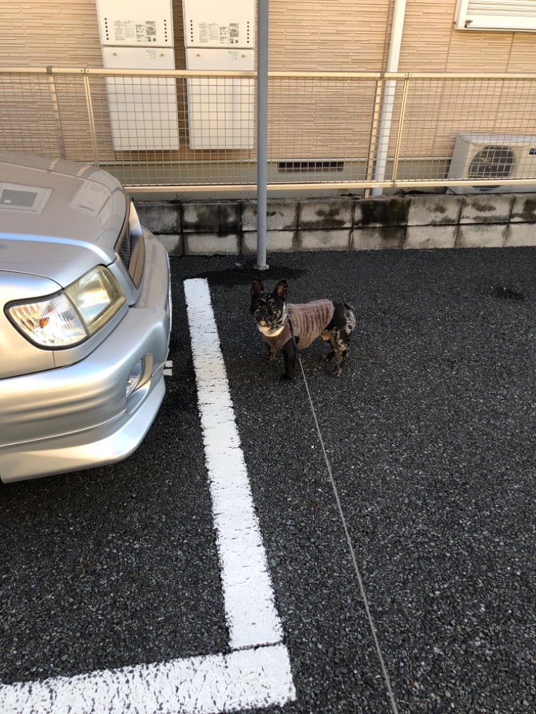 全体のレビュー画像 | 0-1