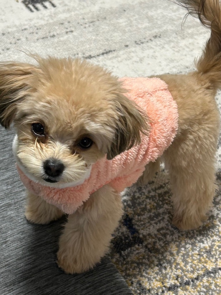 全体のレビュー画像 | 9-0