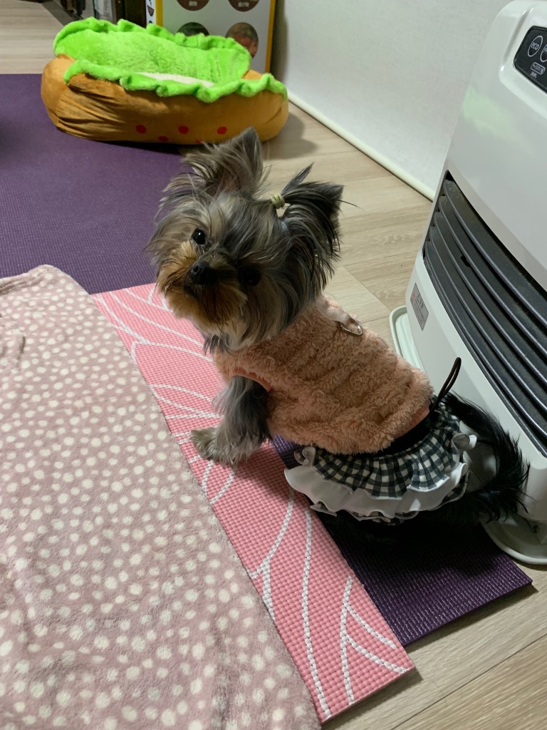 全体のレビュー画像 | 1-0