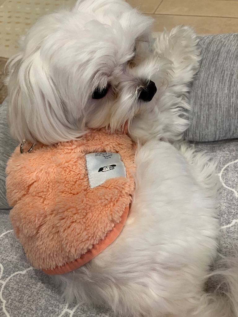 全体のレビュー画像 | 8-0