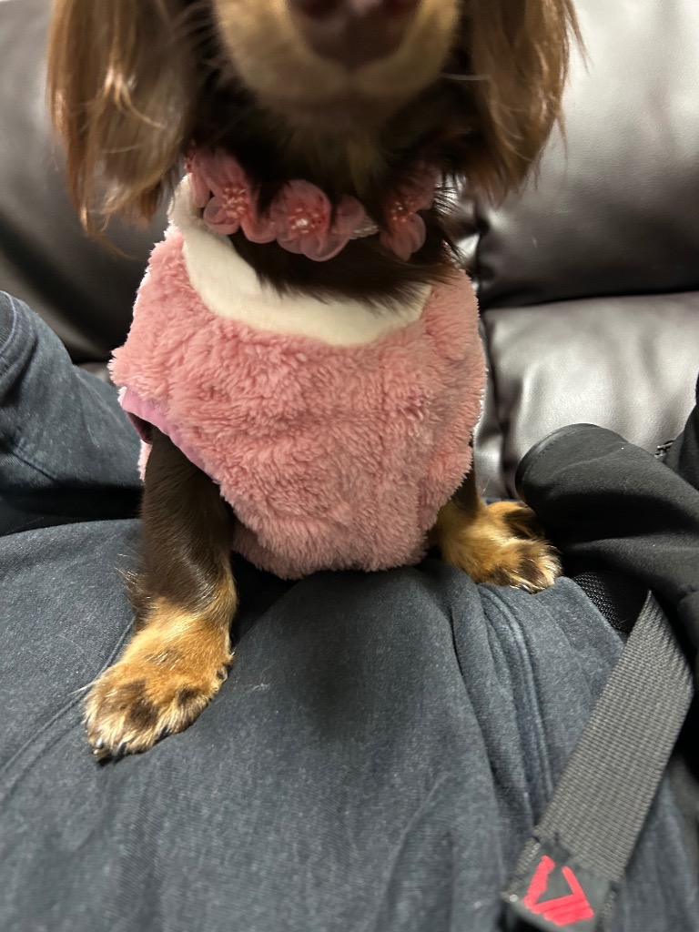 全体のレビュー画像 | 10-1