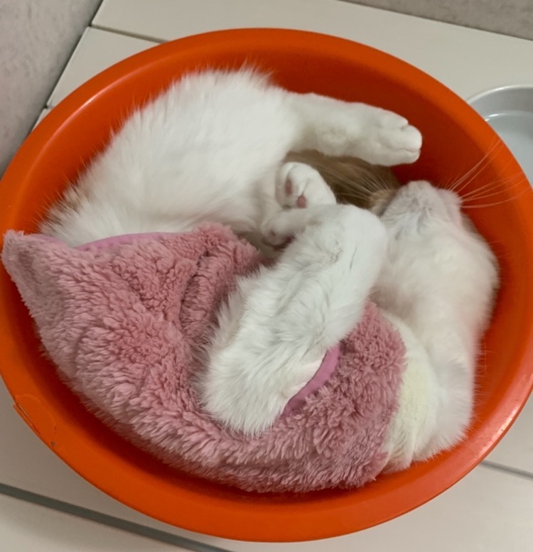 全体のレビュー画像 | 1-3