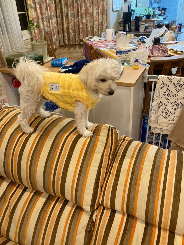 全体のレビュー画像 | 3-0