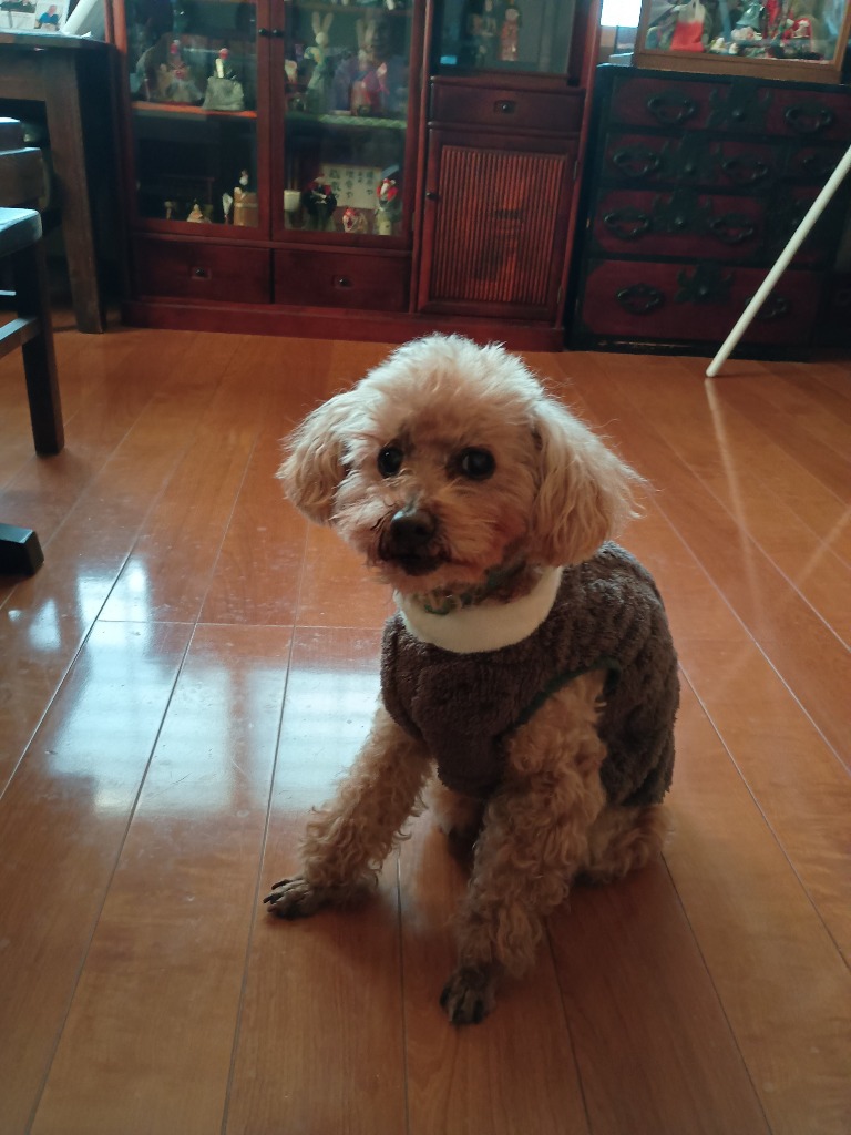 全体のレビュー画像 | 2-0