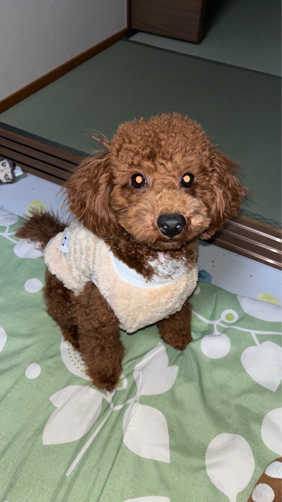 全体のレビュー画像 | 9-0