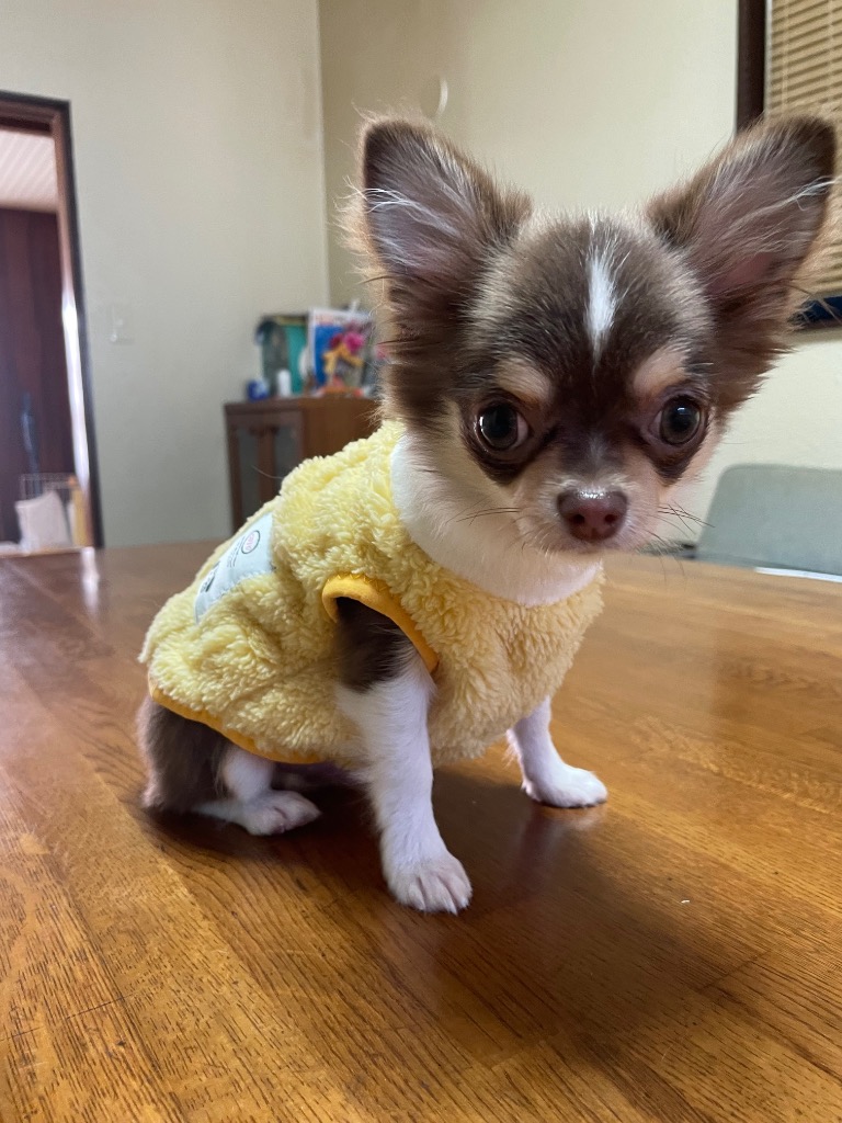 全体のレビュー画像 | 11-0