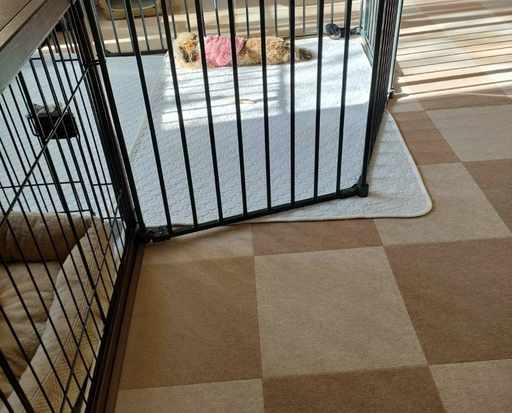 全体のレビュー画像 | 7-0