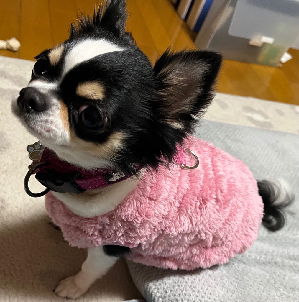 全体のレビュー画像 | 0-0