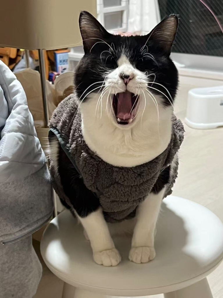 全体のレビュー画像 | 11-0