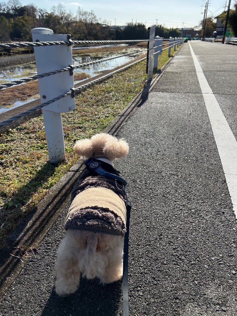 全体のレビュー画像 | 9-0