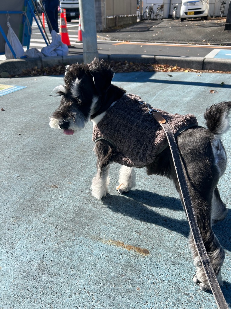 全体のレビュー画像 | 12-0