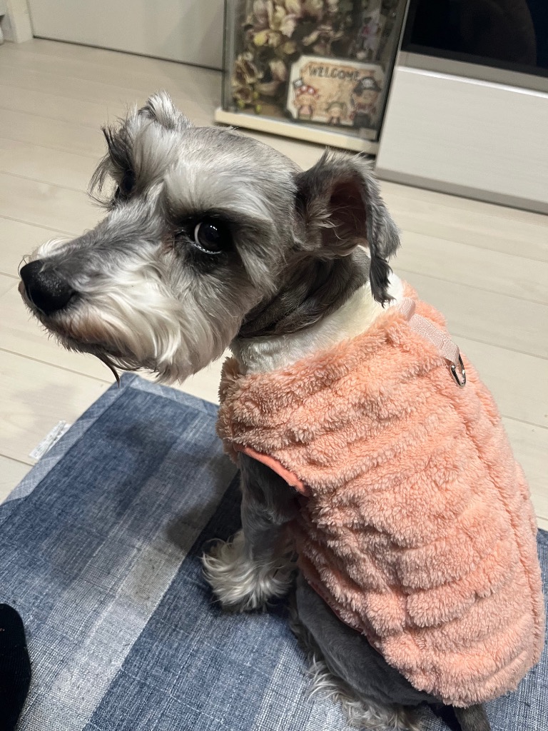 全体のレビュー画像 | 0-1