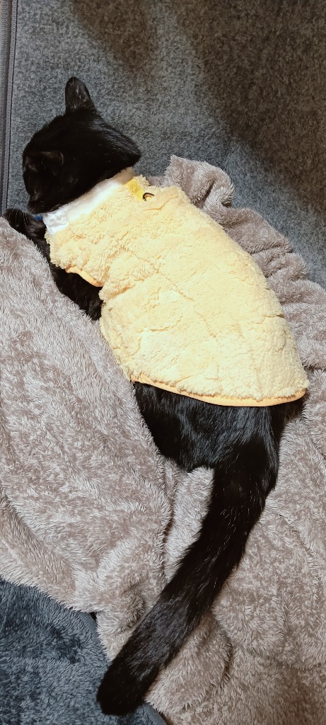 1件目のレビュー画像 | 2