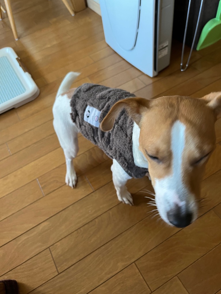 全体のレビュー画像 | 9-0