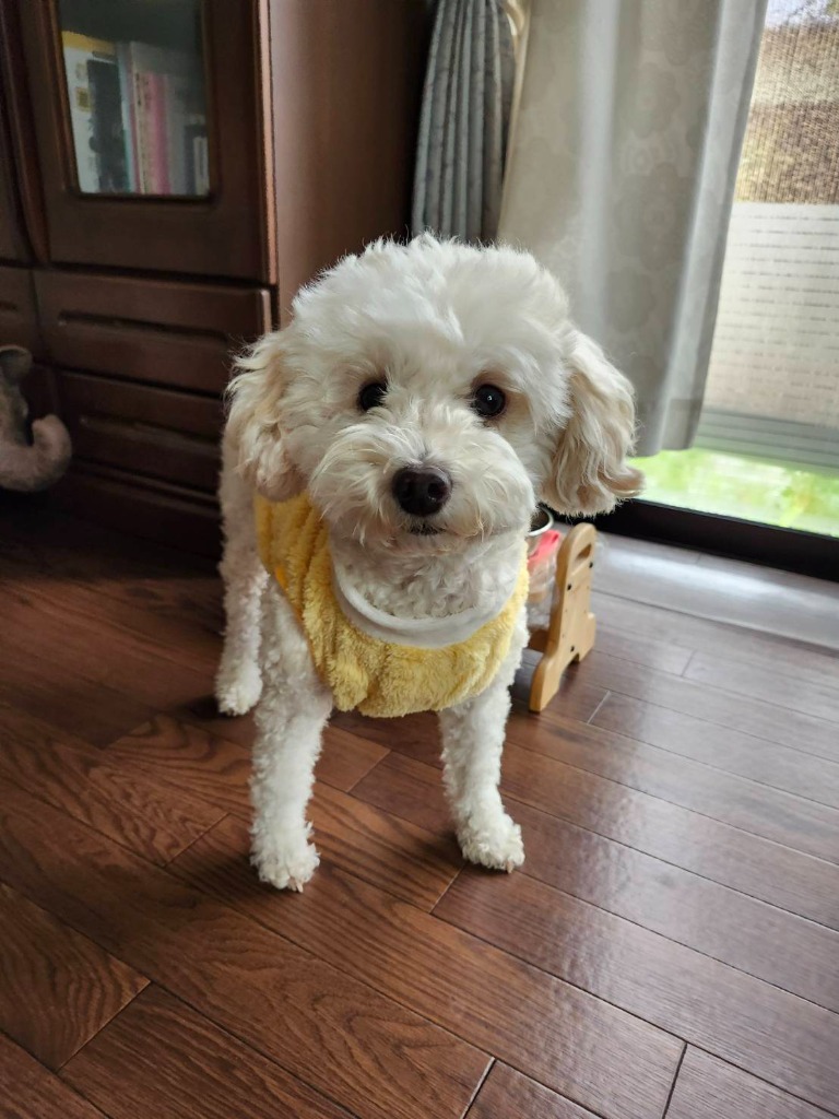 全体のレビュー画像 | 10-0